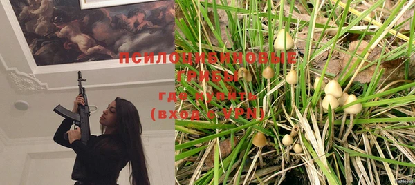 бошки Дмитров