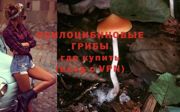 героин Дмитриев