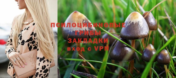 бошки Дмитров