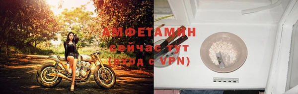 бошки Дмитров