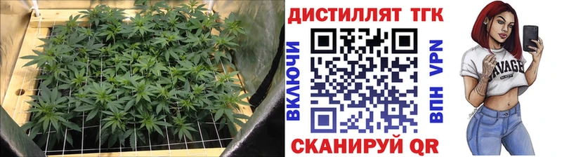 Дистиллят ТГК гашишное масло  OMG маркетплейс  Няндома 