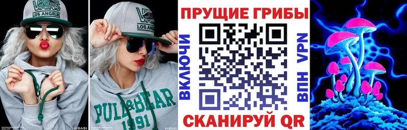 Галлюциногенные грибы Psilocybine cubensis  наркотики  даркнет какой сайт  Няндома 
